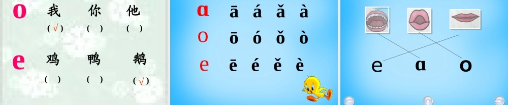 秋一年级语文上册《看天鹅》课件1 沪教版-沪教版小学一年级上册语文课件