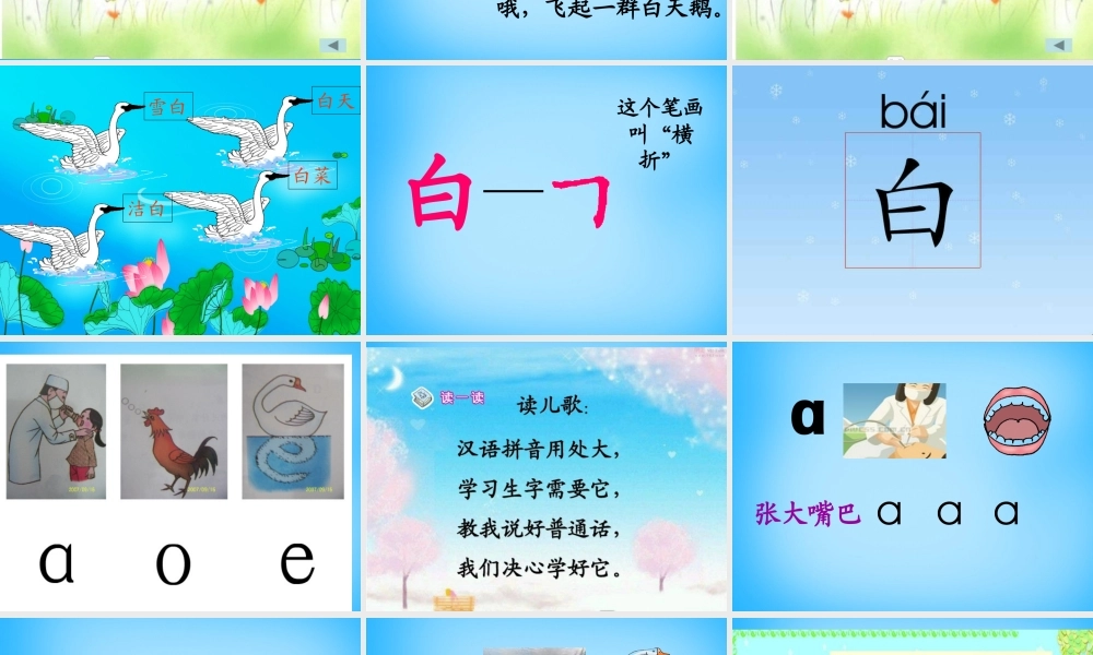 秋一年级语文上册《看天鹅》课件2 沪教版-沪教版小学一年级上册语文课件