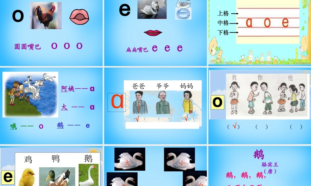 秋一年级语文上册《看天鹅》课件2 沪教版-沪教版小学一年级上册语文课件