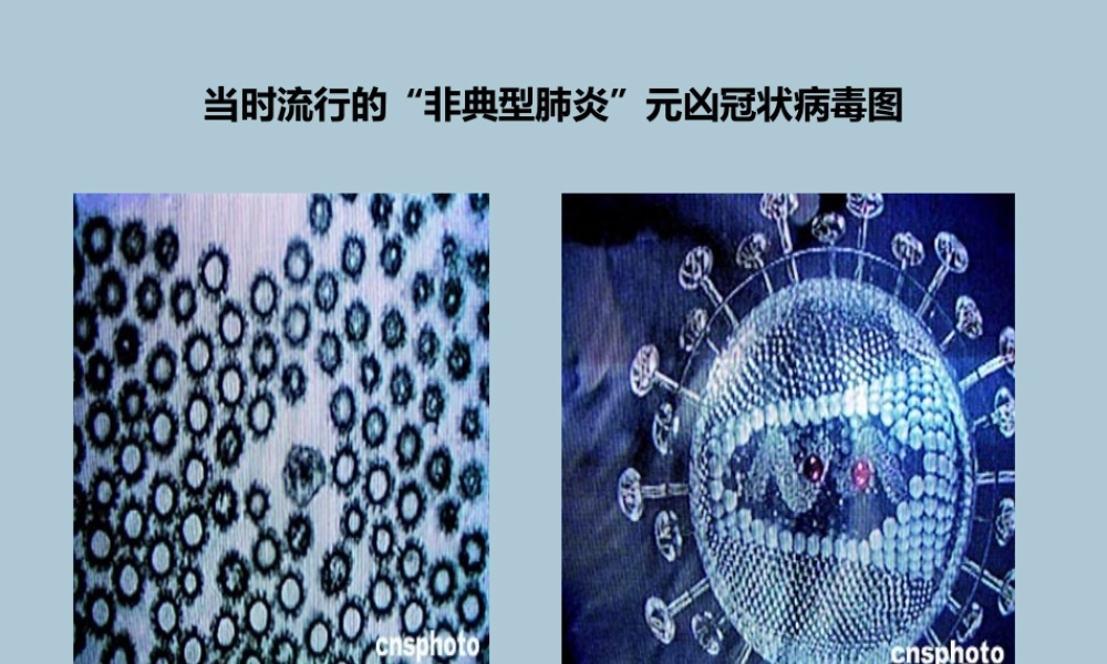 春四年级语文下册 第四单元 11《永远的白衣战士》教学课件 苏教版-苏教版小学四年级下册语文课件