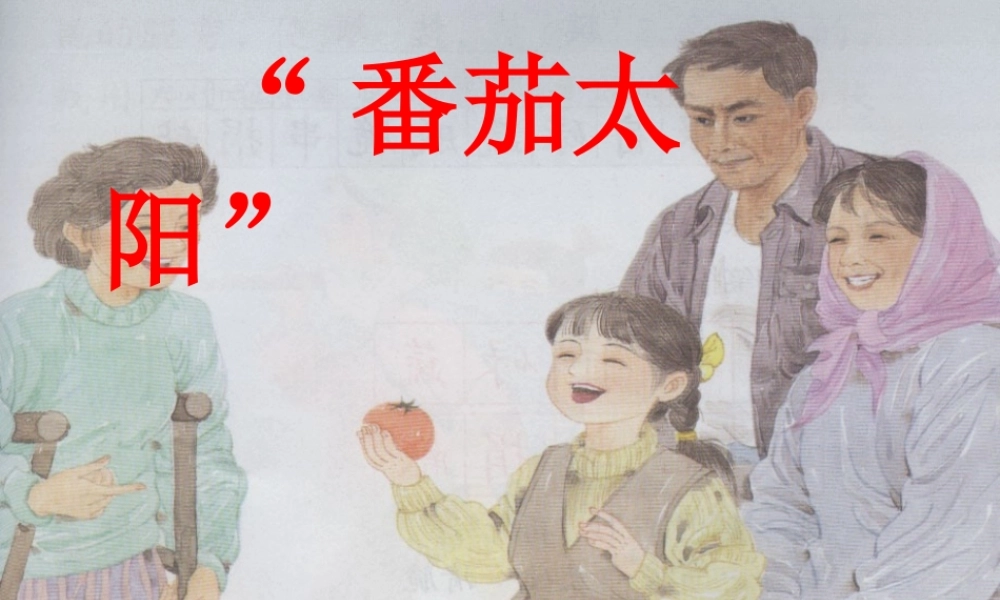 春四年级语文下册 第四单元 12《“番茄太阳”》教学课件 苏教版-苏教版小学四年级下册语文课件