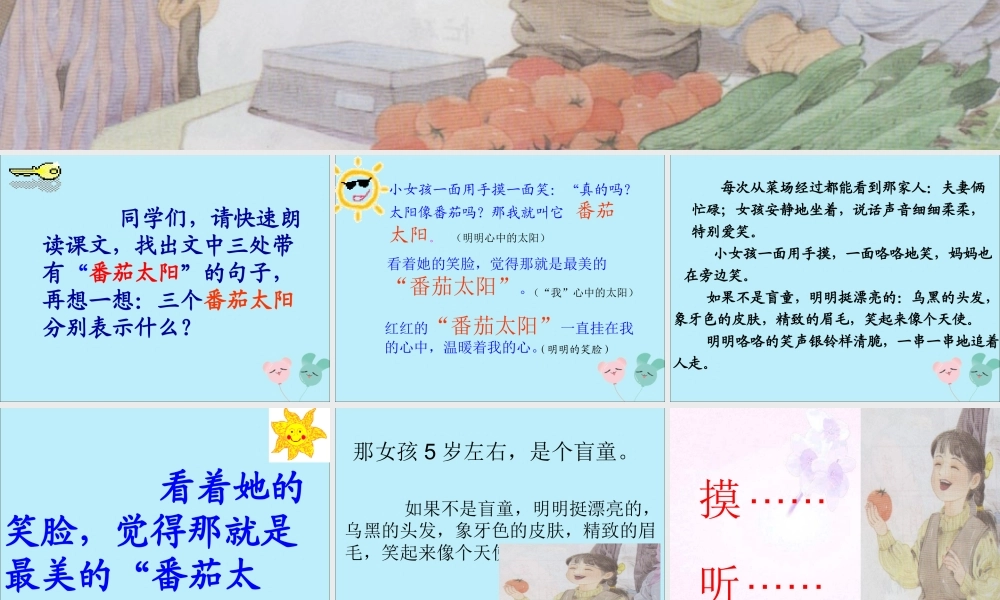 春四年级语文下册 第四单元 12《“番茄太阳”》教学课件 苏教版-苏教版小学四年级下册语文课件