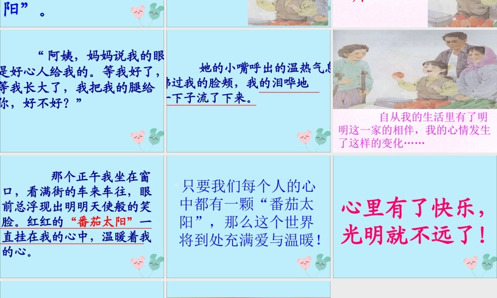 春四年级语文下册 第四单元 12《“番茄太阳”》教学课件 苏教版-苏教版小学四年级下册语文课件