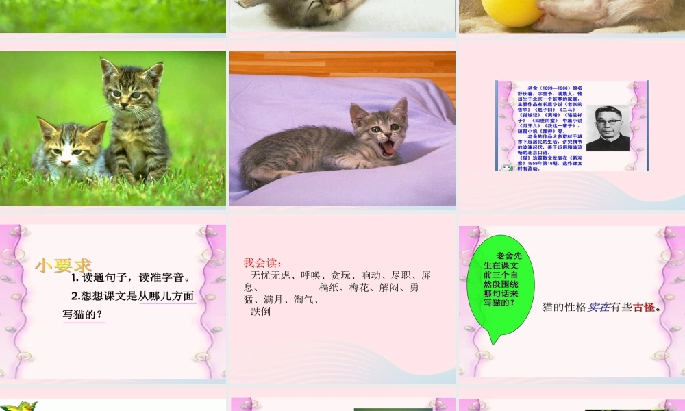 春四年级语文下册 第四单元 13 猫课件 新人教版-新人教版小学四年级下册语文课件