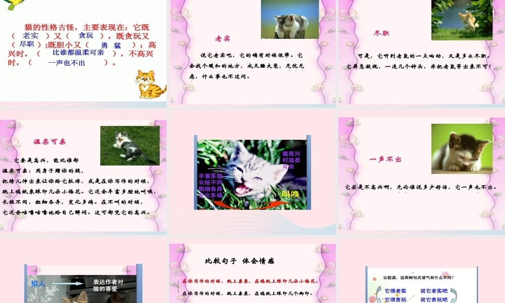 春四年级语文下册 第四单元 13 猫课件 新人教版-新人教版小学四年级下册语文课件