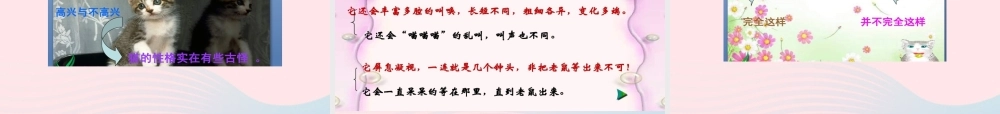 春四年级语文下册 第四单元 13 猫课件 新人教版-新人教版小学四年级下册语文课件