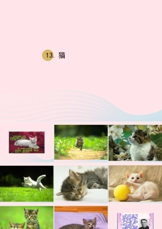 春四年级语文下册 第四单元 13 猫课件 新人教版-新人教版小学四年级下册语文课件