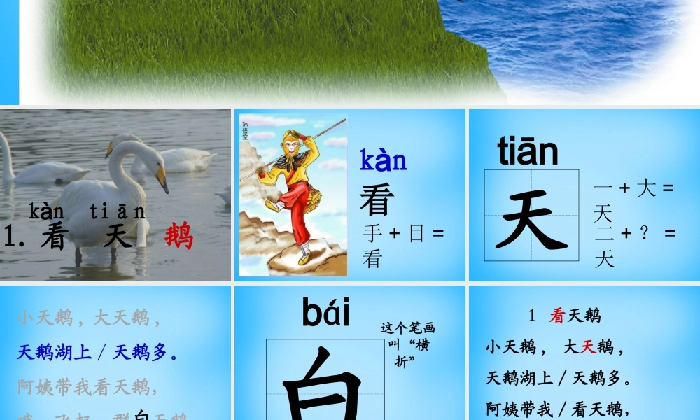 秋一年级语文上册《看天鹅》课件4 沪教版-沪教版小学一年级上册语文课件