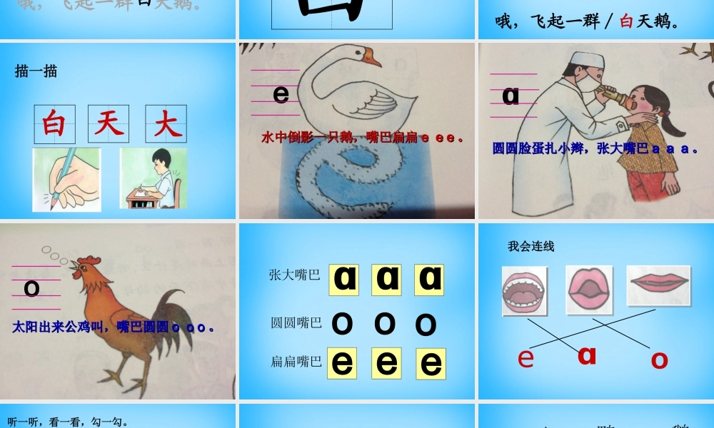 秋一年级语文上册《看天鹅》课件4 沪教版-沪教版小学一年级上册语文课件