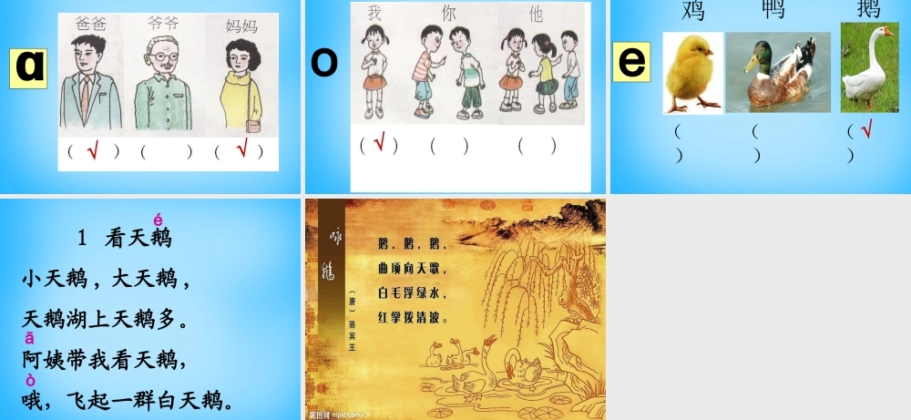 秋一年级语文上册《看天鹅》课件4 沪教版-沪教版小学一年级上册语文课件