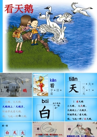 秋一年级语文上册《看天鹅》课件4 沪教版-沪教版小学一年级上册语文课件