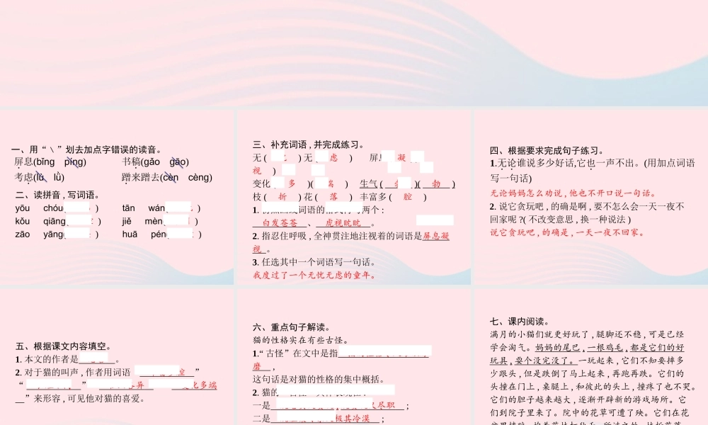 春四年级语文下册 第四单元 13 猫习题课件 新人教版-新人教版小学四年级下册语文课件