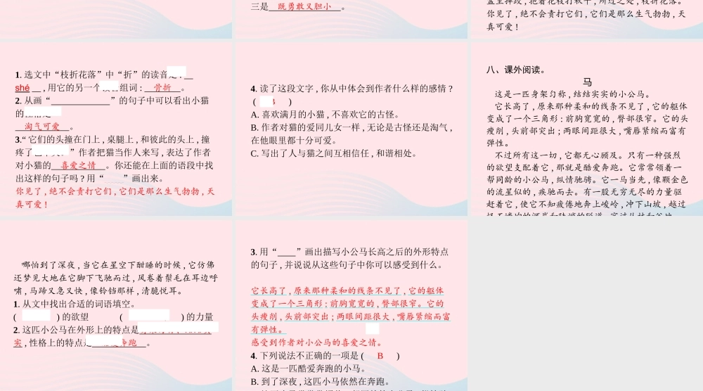 春四年级语文下册 第四单元 13 猫习题课件 新人教版-新人教版小学四年级下册语文课件
