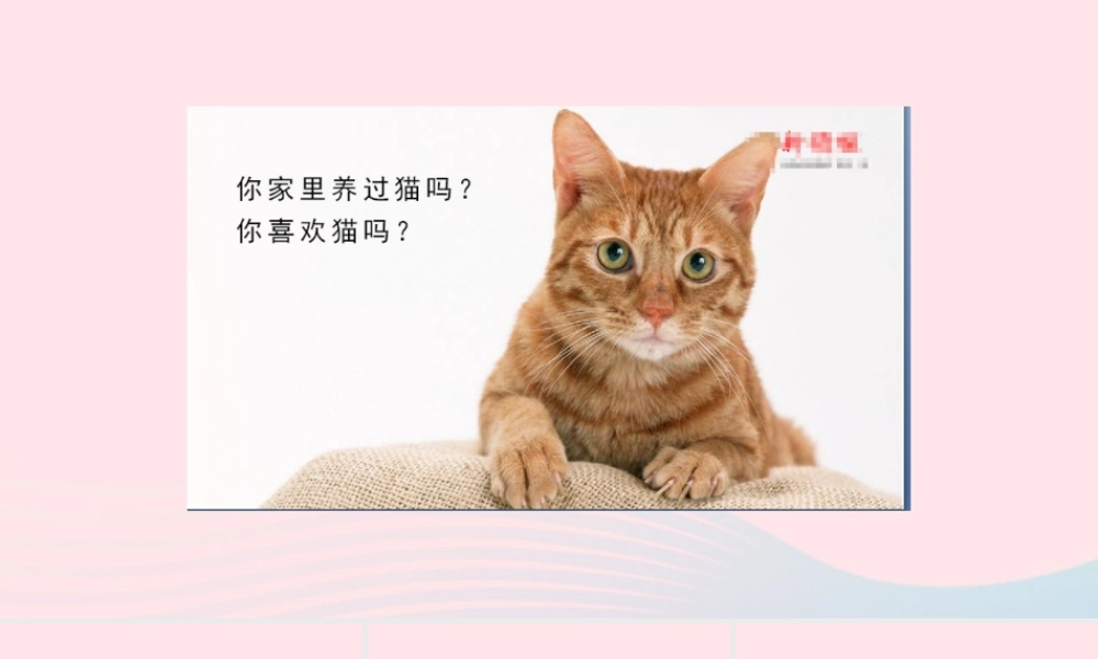 春四年级语文下册 第四单元 13猫课堂教学课件 新人教版-新人教版小学四年级下册语文课件