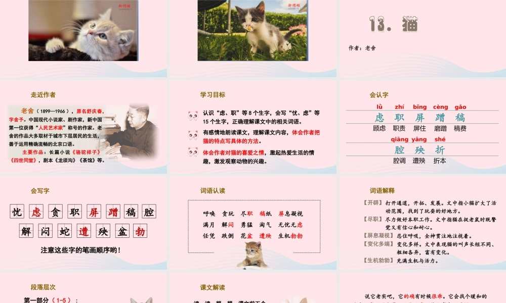 春四年级语文下册 第四单元 13猫课堂教学课件 新人教版-新人教版小学四年级下册语文课件