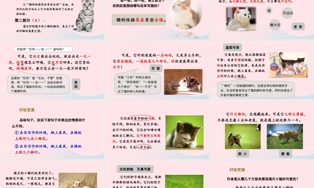 春四年级语文下册 第四单元 13猫课堂教学课件 新人教版-新人教版小学四年级下册语文课件