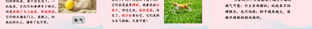 春四年级语文下册 第四单元 13猫课堂教学课件 新人教版-新人教版小学四年级下册语文课件