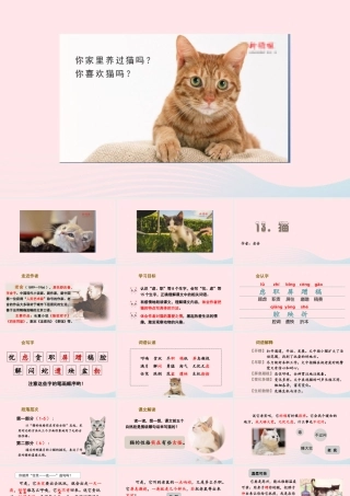 春四年级语文下册 第四单元 13猫课堂教学课件 新人教版-新人教版小学四年级下册语文课件