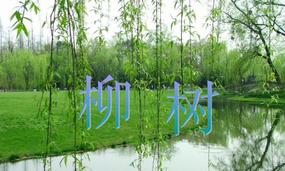 秋一年级语文上册《柳树》课件1 冀教版-冀教版小学一年级上册语文课件