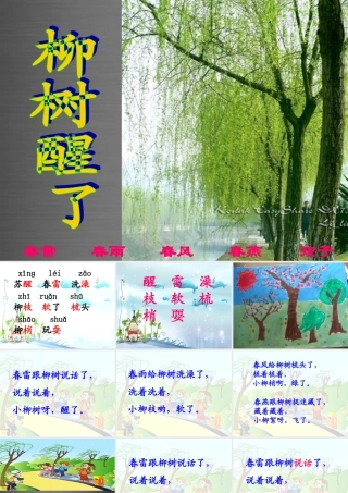 秋一年级语文上册《柳树》课件2 冀教版-冀教版小学一年级上册语文课件