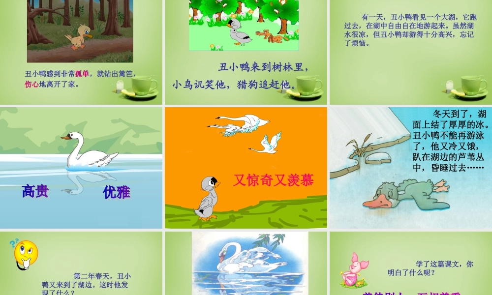 秋三年级语文上册《丑小鸭》课件1 北师大版-北师大版小学三年级上册语文课件