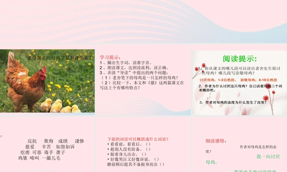 春四年级语文下册 第四单元 14 母鸡课件 新人教版-新人教版小学四年级下册语文课件