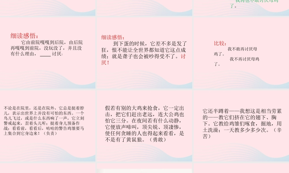 春四年级语文下册 第四单元 14 母鸡课件 新人教版-新人教版小学四年级下册语文课件