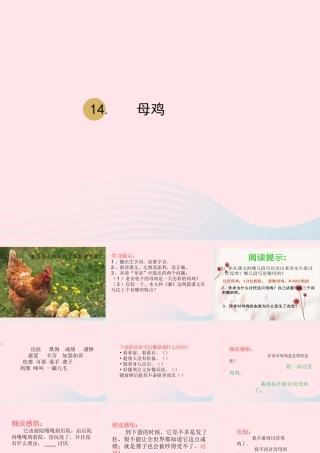 春四年级语文下册 第四单元 14 母鸡课件 新人教版-新人教版小学四年级下册语文课件