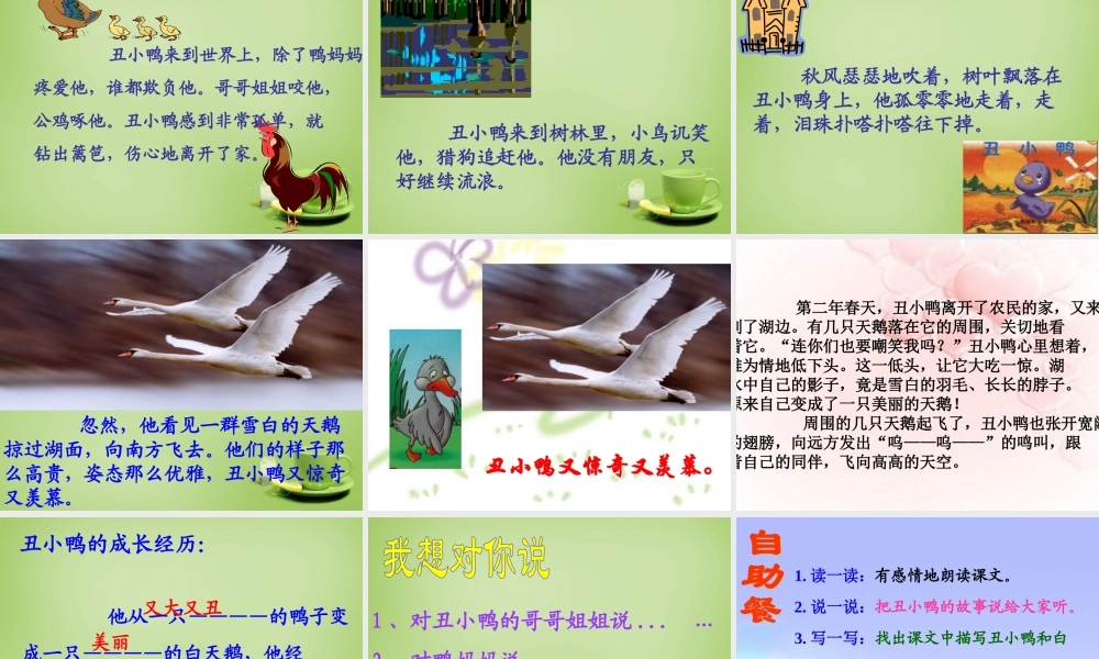 秋三年级语文上册《丑小鸭》课件2 北师大版-北师大版小学三年级上册语文课件