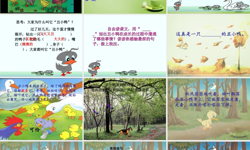 秋三年级语文上册《丑小鸭》课件3 北师大版-北师大版小学三年级上册语文课件