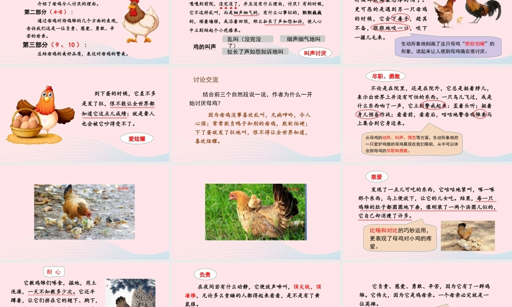 春四年级语文下册 第四单元 14母鸡课堂教学课件 新人教版-新人教版小学四年级下册语文课件