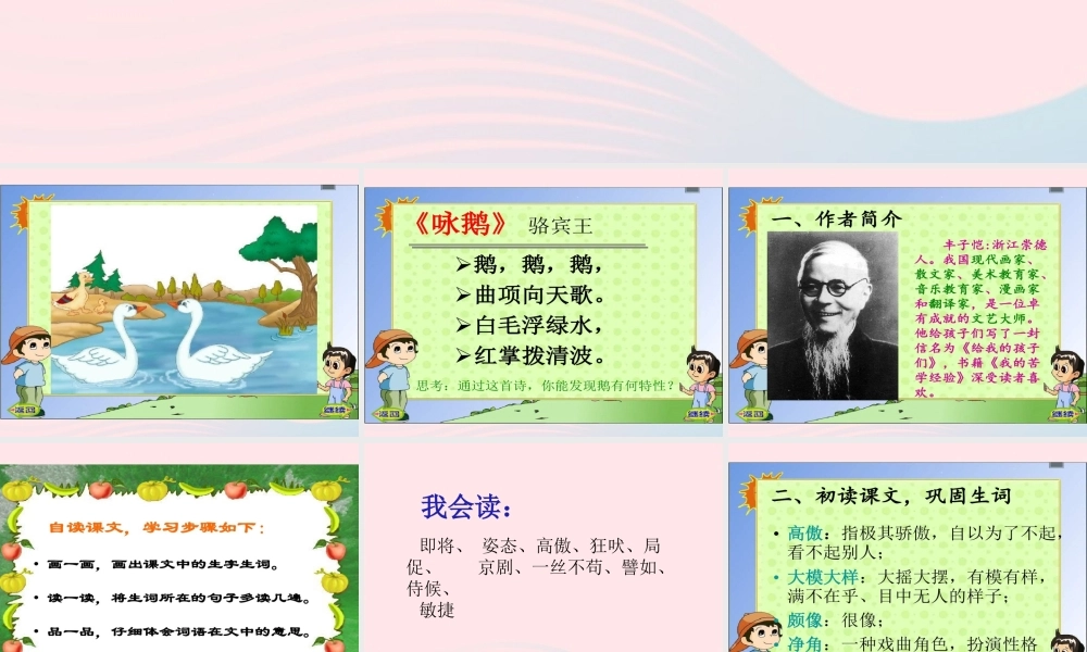 春四年级语文下册 第四单元 15 白鹅课件 新人教版-新人教版小学四年级下册语文课件