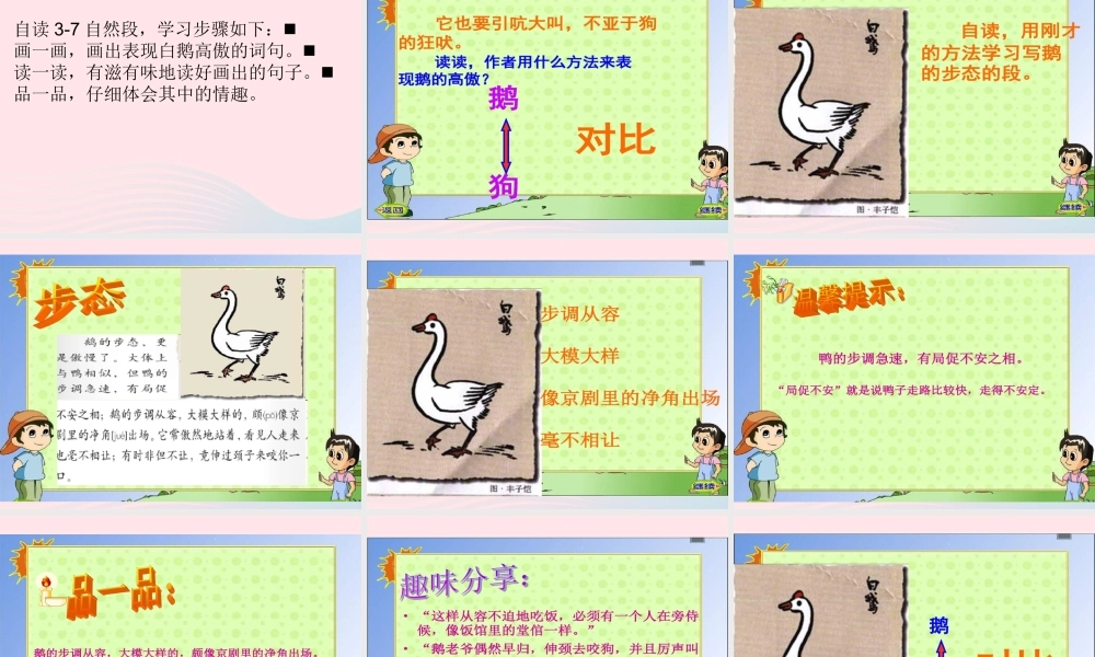 春四年级语文下册 第四单元 15 白鹅课件 新人教版-新人教版小学四年级下册语文课件