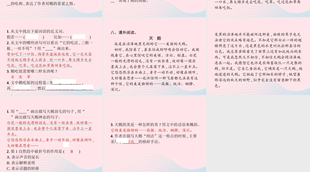 春四年级语文下册 第四单元 15 白鹅习题课件 新人教版-新人教版小学四年级下册语文课件