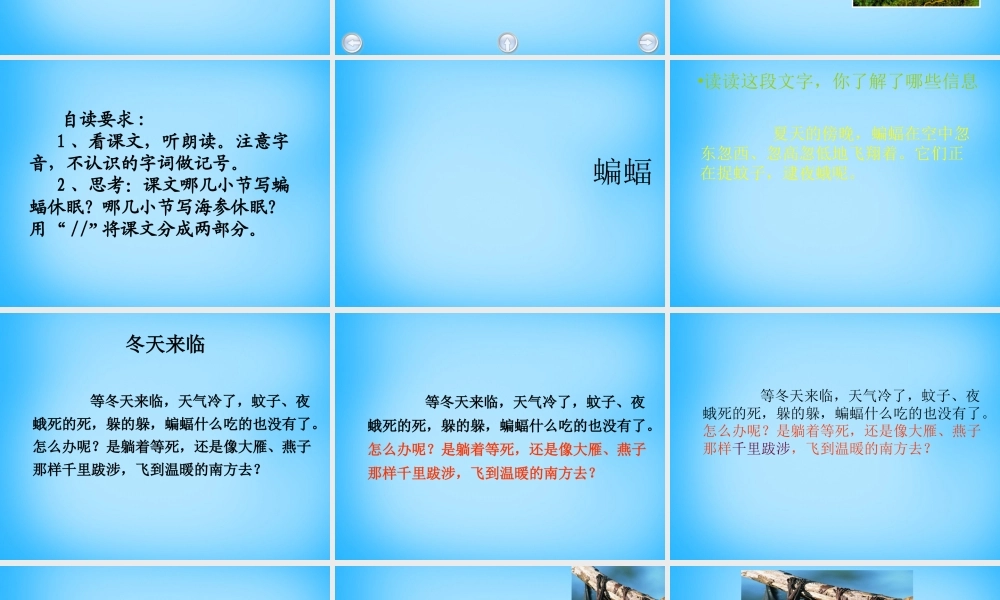秋三年级语文上册《动物的休眠》课件1 沪教版-沪教版小学三年级上册语文课件