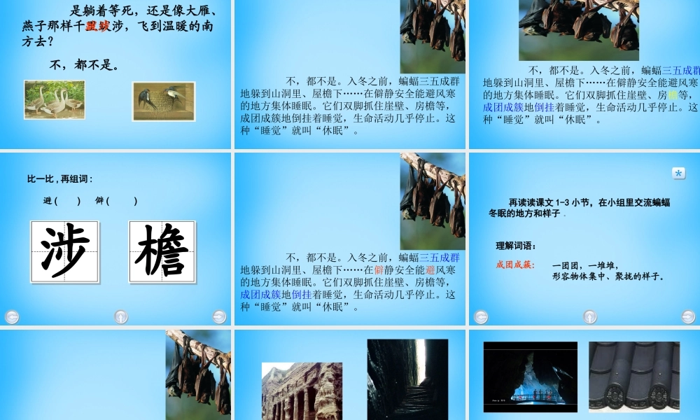 秋三年级语文上册《动物的休眠》课件1 沪教版-沪教版小学三年级上册语文课件