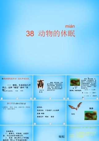 秋三年级语文上册《动物的休眠》课件1 沪教版-沪教版小学三年级上册语文课件