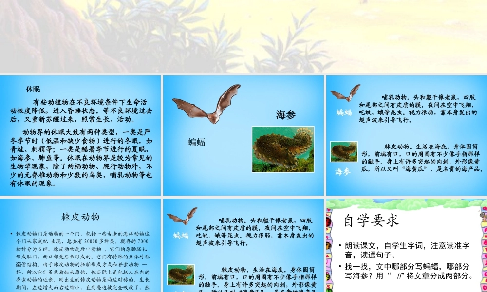 秋三年级语文上册《动物的休眠》课件2 沪教版-沪教版小学三年级上册语文课件
