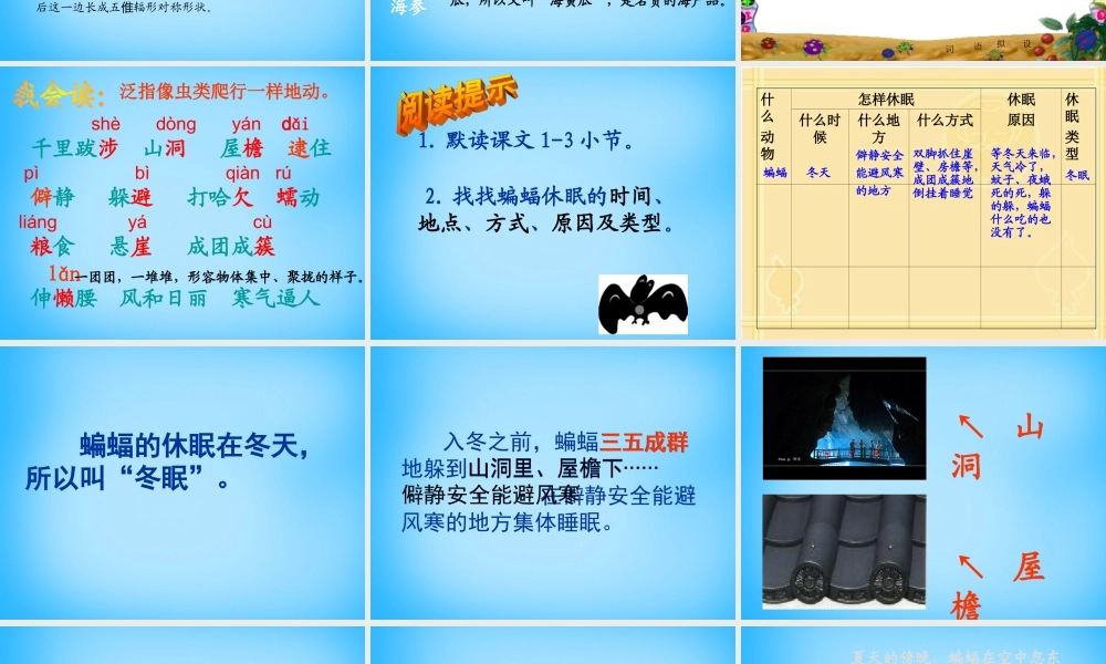 秋三年级语文上册《动物的休眠》课件2 沪教版-沪教版小学三年级上册语文课件