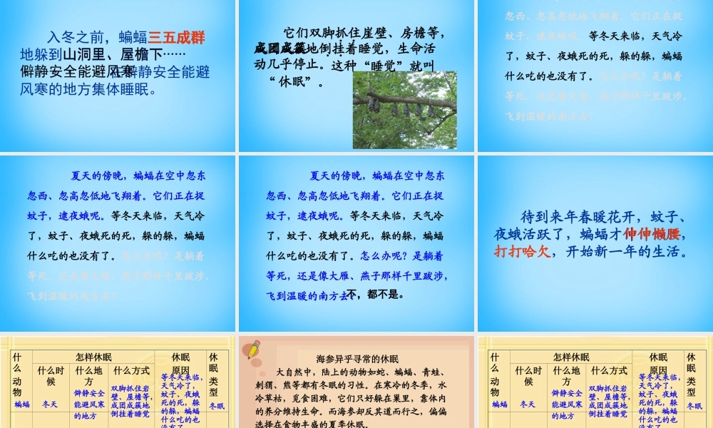 秋三年级语文上册《动物的休眠》课件2 沪教版-沪教版小学三年级上册语文课件