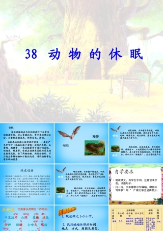 秋三年级语文上册《动物的休眠》课件2 沪教版-沪教版小学三年级上册语文课件