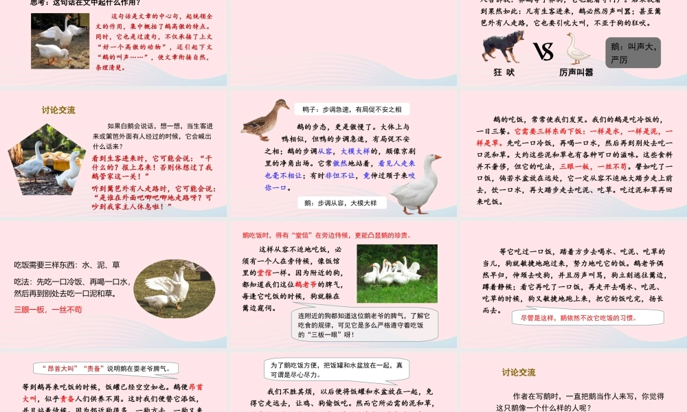 春四年级语文下册 第四单元 15白鹅课堂教学课件 新人教版-新人教版小学四年级下册语文课件