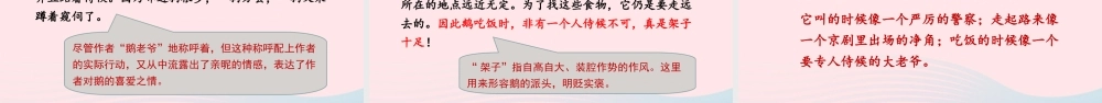 春四年级语文下册 第四单元 15白鹅课堂教学课件 新人教版-新人教版小学四年级下册语文课件