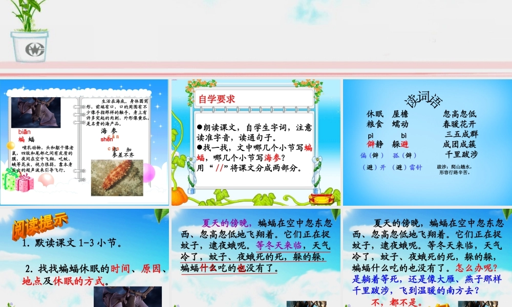 秋三年级语文上册《动物的休眠》课件3 沪教版-沪教版小学三年级上册语文课件