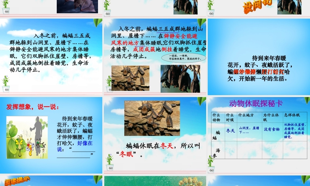 秋三年级语文上册《动物的休眠》课件3 沪教版-沪教版小学三年级上册语文课件