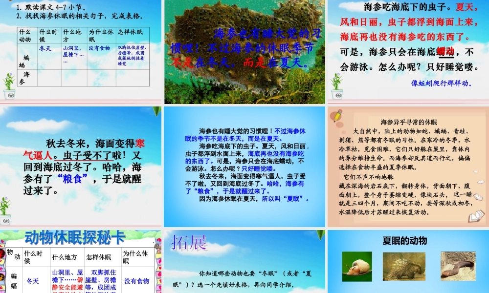 秋三年级语文上册《动物的休眠》课件3 沪教版-沪教版小学三年级上册语文课件