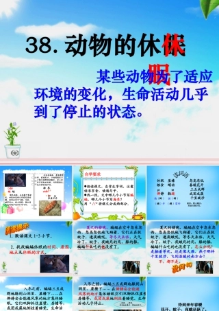 秋三年级语文上册《动物的休眠》课件3 沪教版-沪教版小学三年级上册语文课件