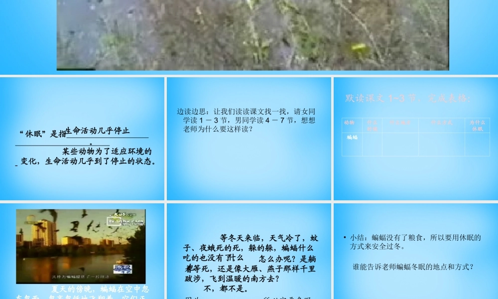 秋三年级语文上册《动物的休眠》课件4 沪教版-沪教版小学三年级上册语文课件