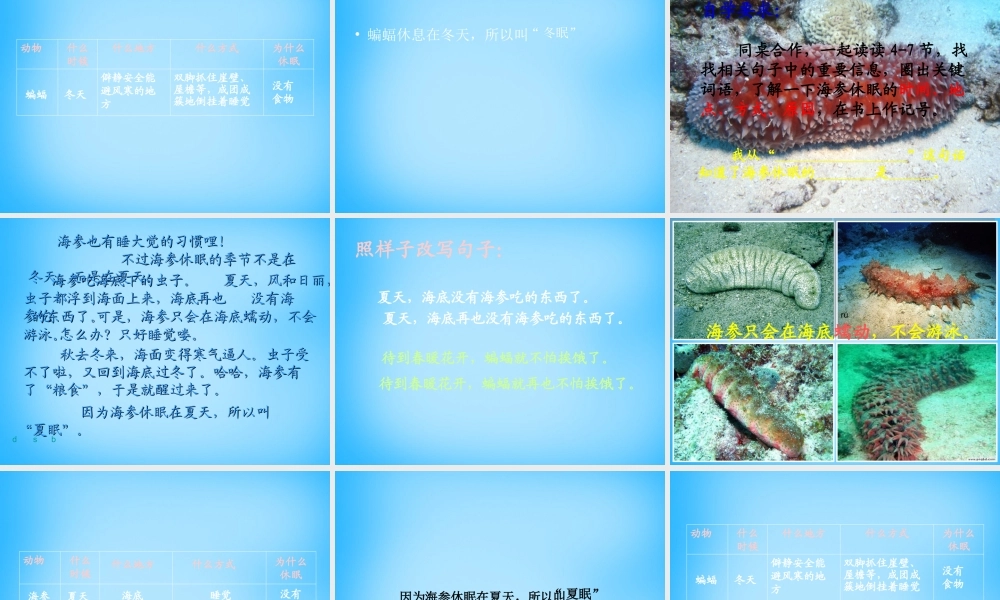 秋三年级语文上册《动物的休眠》课件4 沪教版-沪教版小学三年级上册语文课件