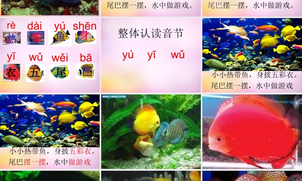 秋一年级语文上册《热带鱼》课件1 北师大版-北师大版小学一年级上册语文课件